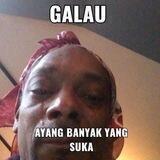 Mnusia premium mph