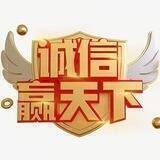 暴力项目