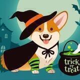 Halloween Floki || High Field Projects