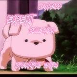 JAYREIDD EXPERT 500