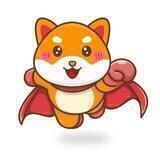 Baby Super Doge