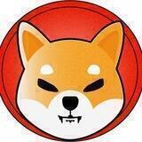 SHIB!!!官方共识社区