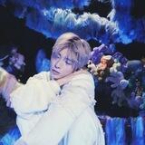 ♡‧₊ ˚ STAN ^ US !¡ k-pop shop