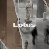 ʟᴏᴛᴜs | ᴄʜᴀɴɴᴇʟ