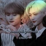 ﾟкошачий дневник сновﾟ