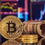 🅱️ITCOIN INVESTMENT PLATFORM