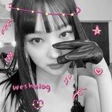 Weshalog