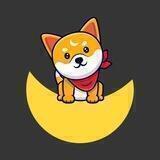 Shibuna Inu BSC