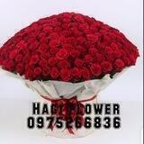 Hagi Flower💐💐💐
