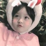 小毅项目通知