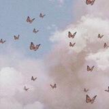• الـــگـ🦋ـو •