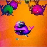 Hi ͏w͏ha͏l͏e ͏n͏e͏w͏s 🐬