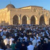 مَنصُور المَنصُور