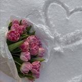 غيم♡