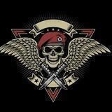 Special Patriotic Task Force S.P.T.S