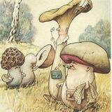 🌲🍄🌳Pilzfreunde🌳🍄🌲