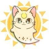 SUNSHI | PORTAL