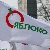 Яблоко. Приморский район