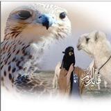 ﮼قايد ﮼الريم 🦌