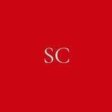 SHANDUROVA_COMPANY