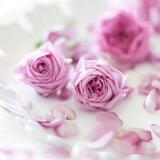 زهرتا البنفـسـج 💕‟.