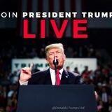 DJT LIVE