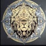 Lion-Style 7 ка ул синяя 10-17