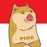 Pige Inu - Indonesia 🇮🇩