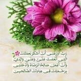 فضفضة حافظة 🦋
