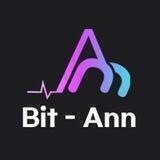Bit-Ann 비트안