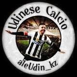 Udinese | Удинезе
