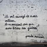 Nous sommes des graines