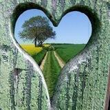 Le chemin de vie