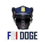 FBI Doge | Portal | Renounced + No Tokens for Devs