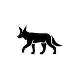 JACKAL