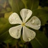 نعيم سرمدي🍃