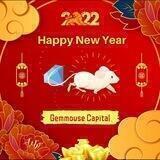 💎GemMouse Capital 🐁