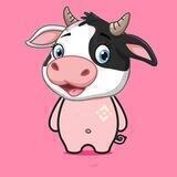PIGE MUU