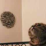 - رَحِيق الرُّوح!