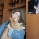 Будни с Рыжим котом
