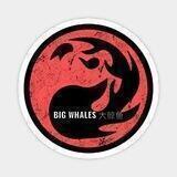 🐳BIG WHALES SHILL☎️大捕鲸者呼叫📞