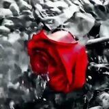 ℱℛ𝒜𝒮 ℰ𝒮 ℋ𝒪𝒯