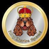 King Charles Spaniel 👑
