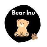 BearInu Entry