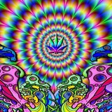 Horny Music