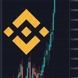 BSC Daily Pumps [Justified]