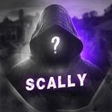 УСЛУГИ КОДЕРА | SCALLY