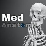 Med Anatomy ☠️🧠
