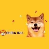 Sheeba Inu X