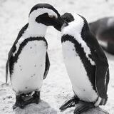 Short Way to Love